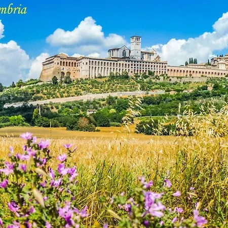 Vakantiehuis By Casamerina, Aietto House With Private Pool Near Todi *