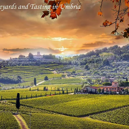 Vakantiehuis By Casamerina, Aietto House With Private Pool Near Todi *